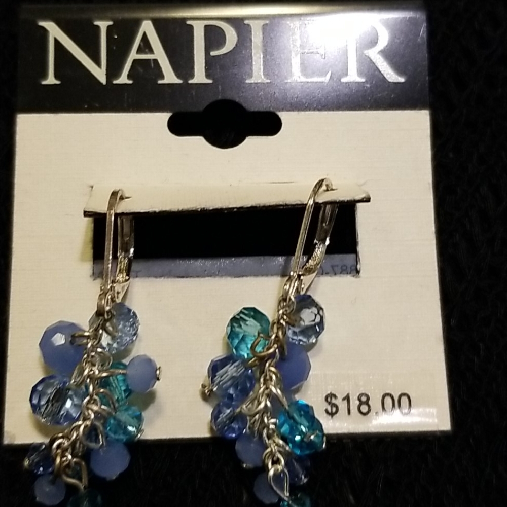 Beautiful blue earrings